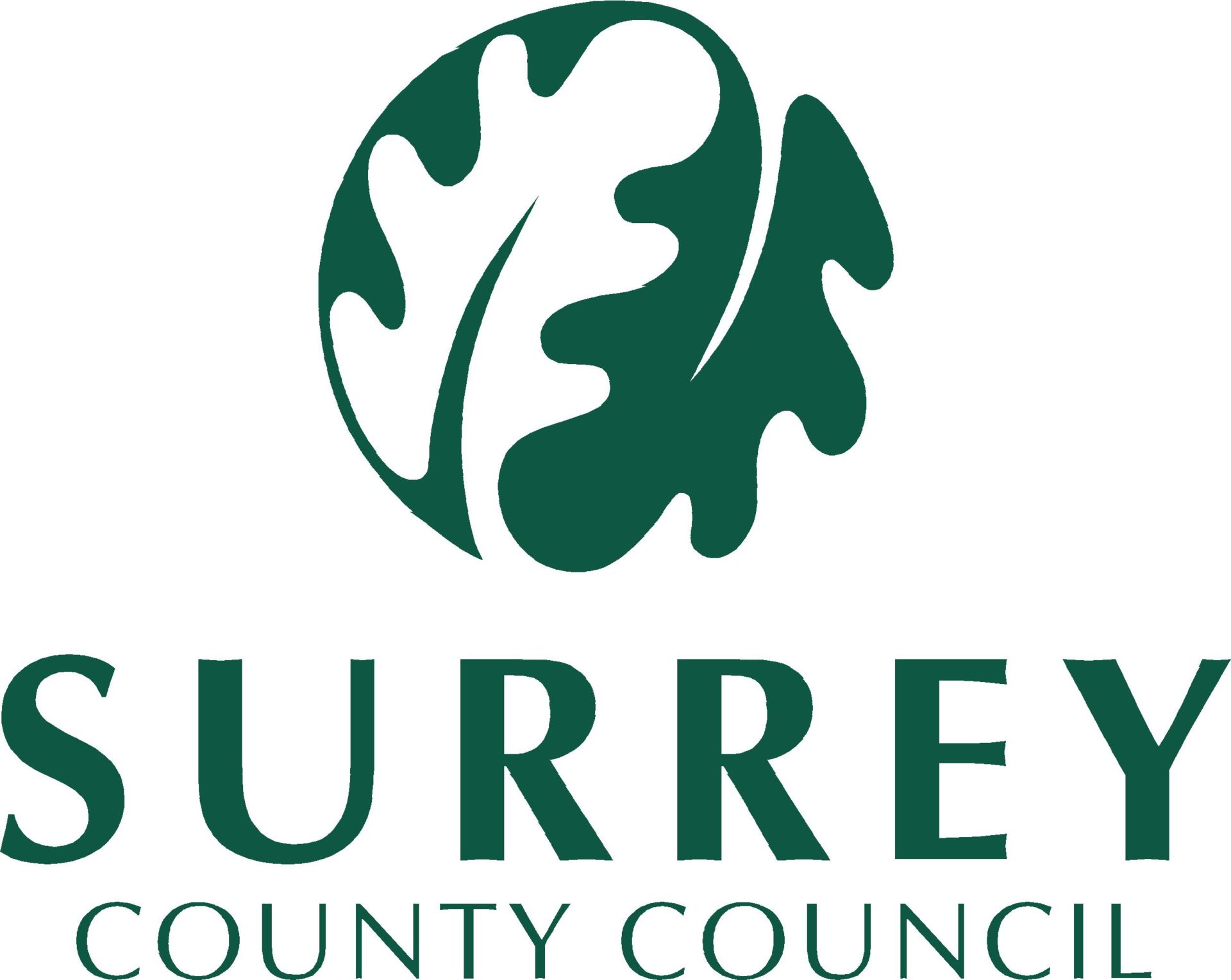 https://www.healthcarepartnersltd.co.uk/wp-content/uploads/Surrey_County_Council_252_corp-logo-336.jpg